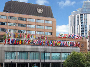 IMO HQ