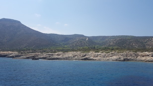 029ed-20170807_111455255b1255d