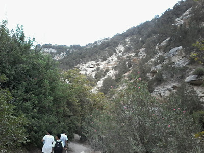 1d859-20170807_150933