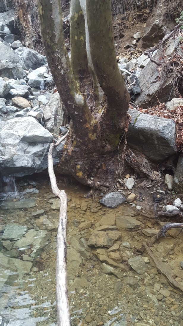 229fa-20170402_141120