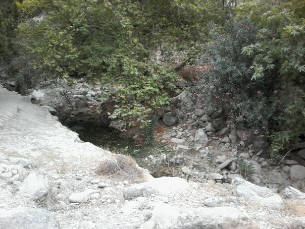 3f4f3-20170807_151048