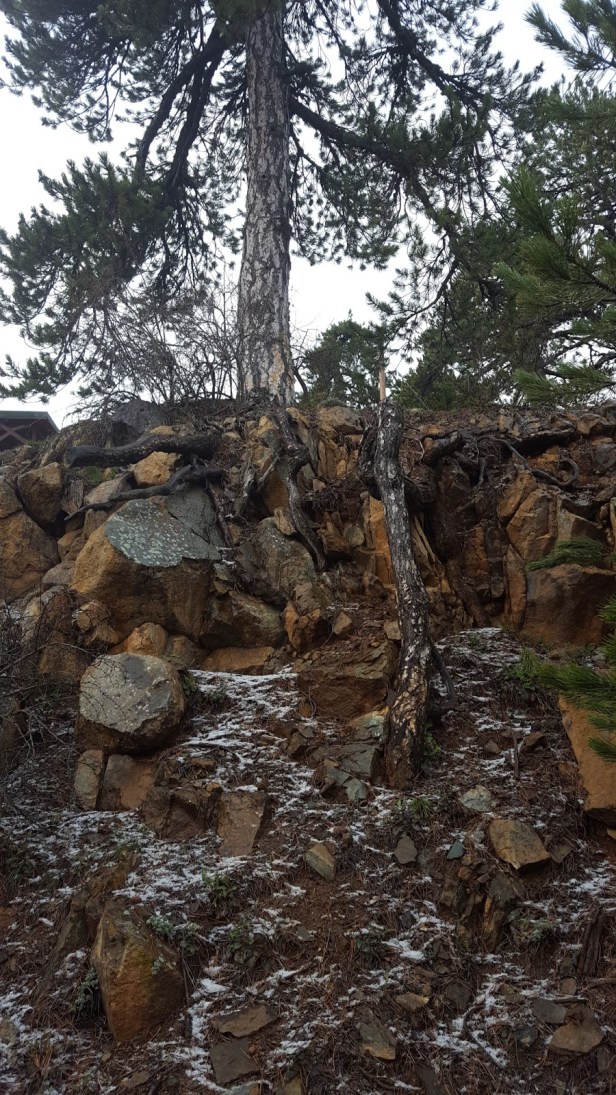 5cb91-20170402_122405