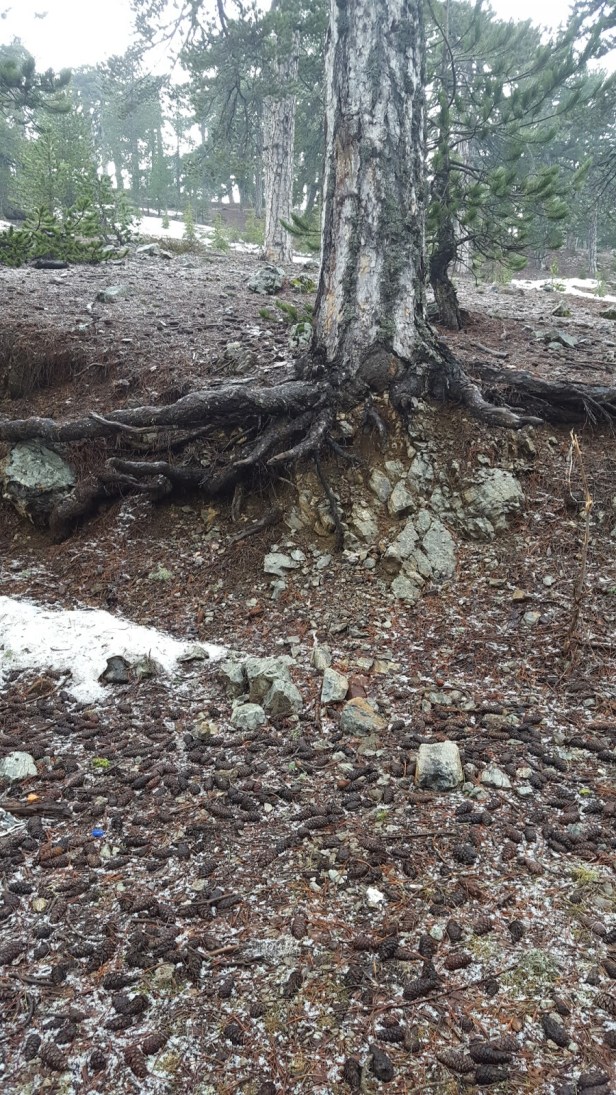 6ab0c-20170402_123159