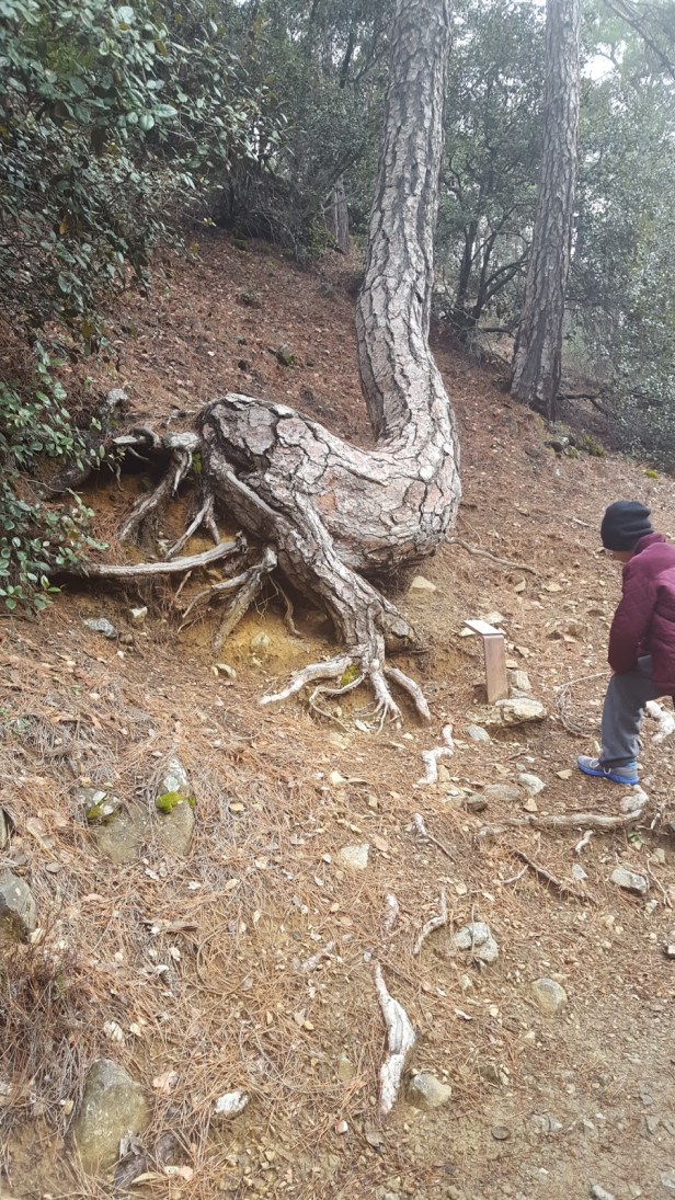 6af88-20170402_140606