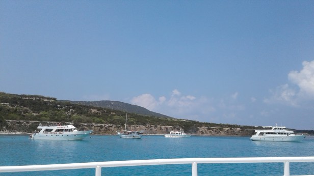 7173f-20170807_122009