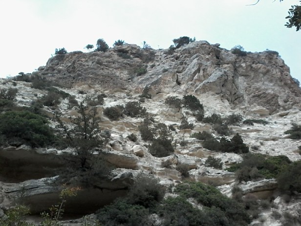 a0dc9-20170807_151332