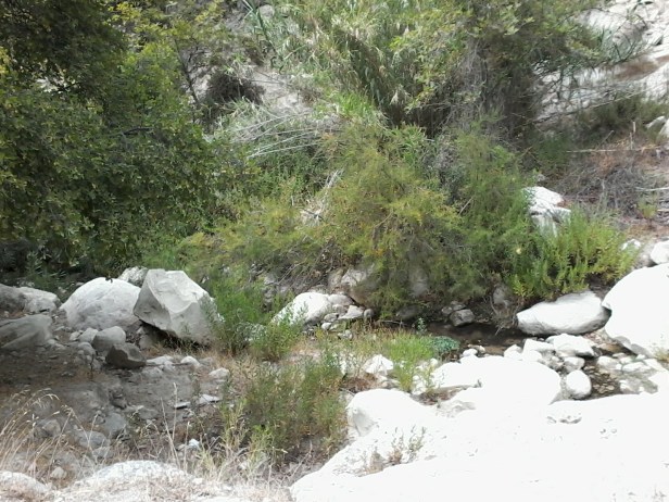 b60c8-20170807_151517