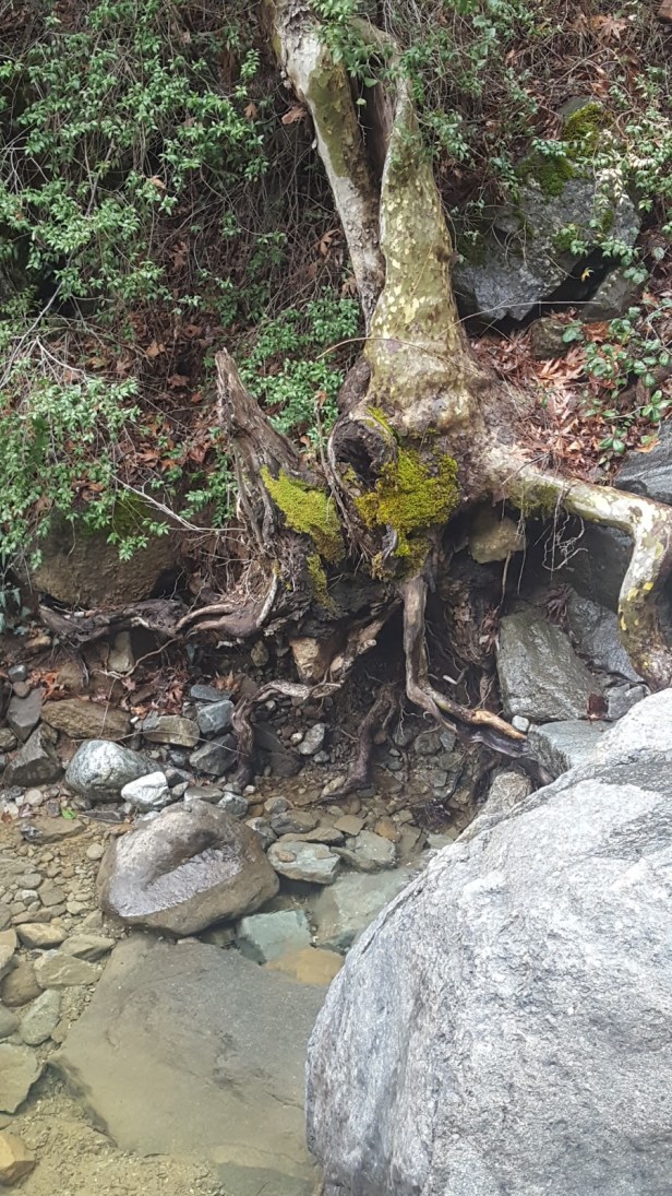 bb445-20170402_141310