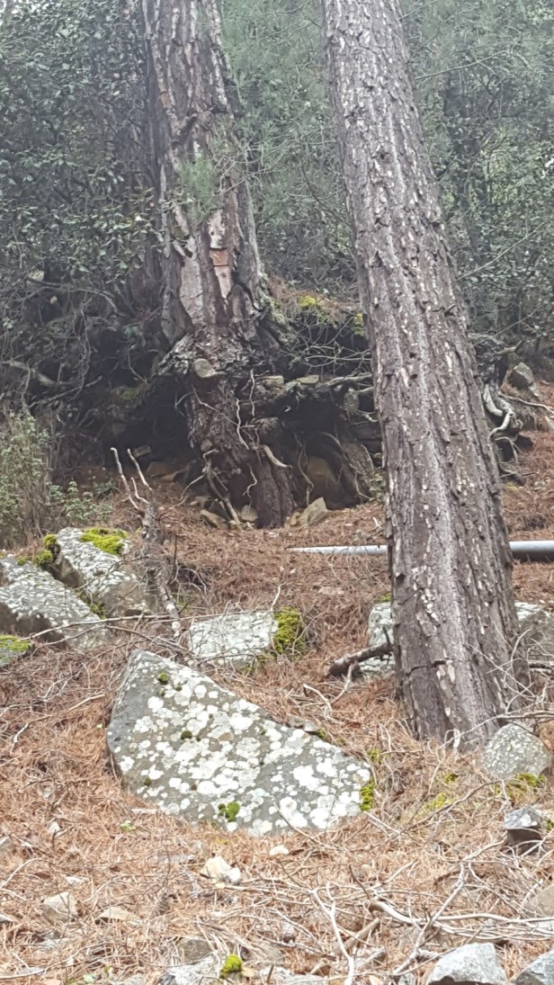 c254f-20170402_140718