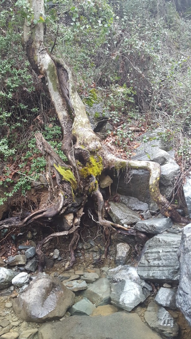 cf0fd-20170402_141037