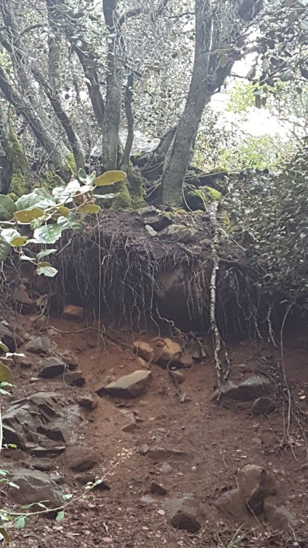 d5442-20170402_140907