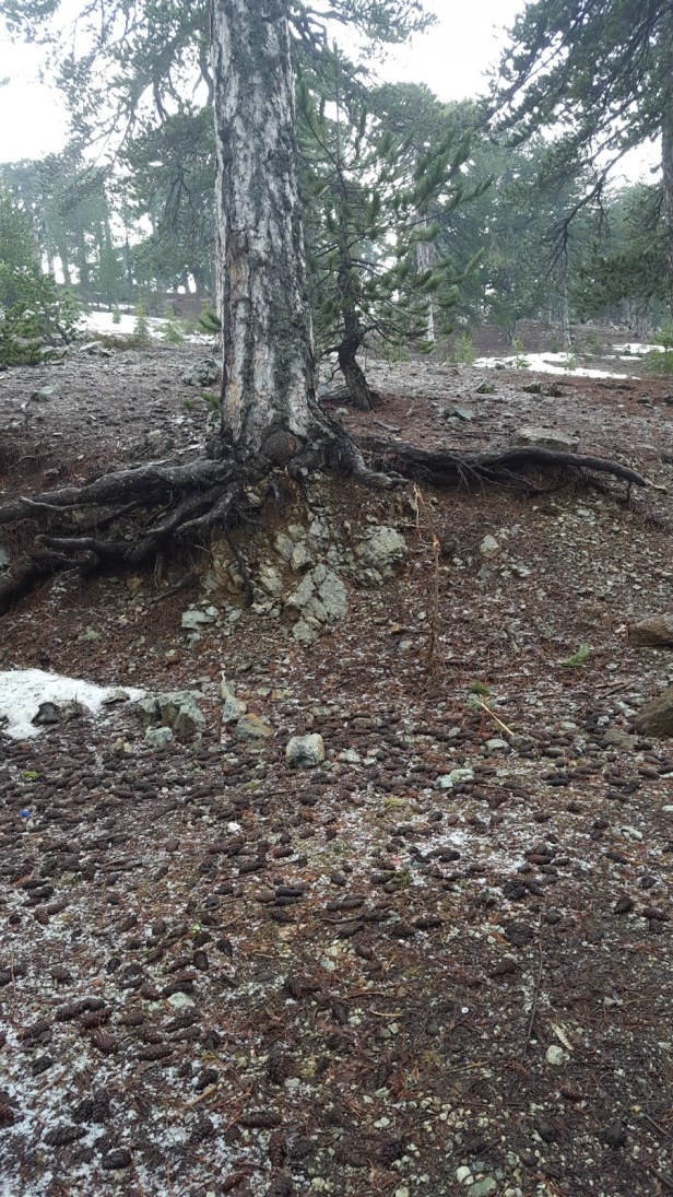 eb533-20170402_123209