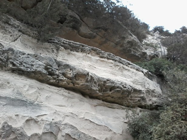 ff9d0-20170807_150756